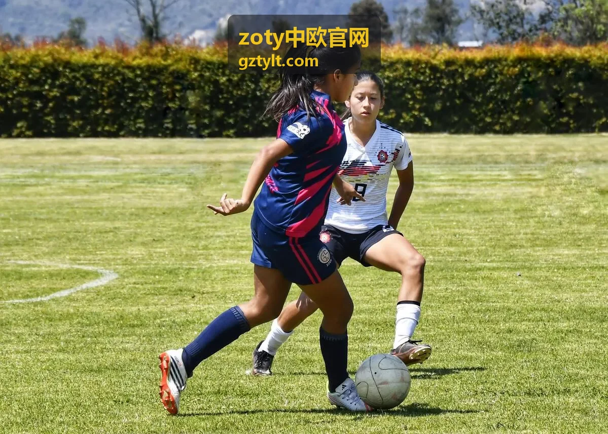 zoty中欧官网头程运输与末端派送衔接作业场景
