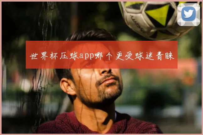 世界杯压球app哪个更受球迷青睐