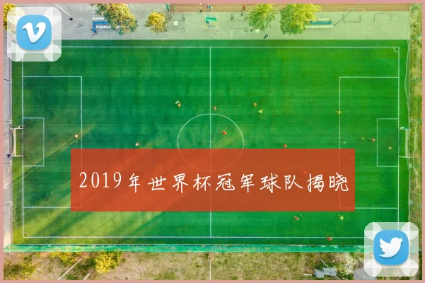 2019年世界杯冠军球队揭晓